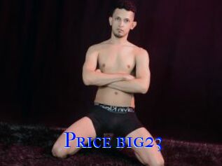 Price_big23