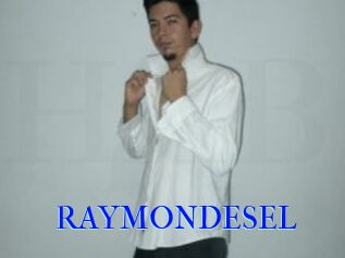 RAYMONDESEL