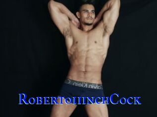 Roberto11inchCock