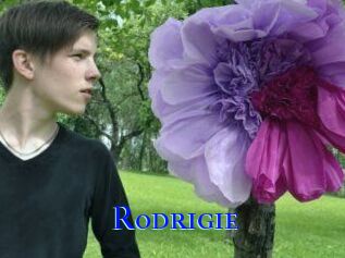 Rodrigie
