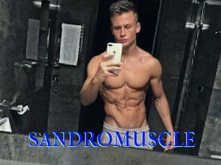 SANDRO_MUSCLE