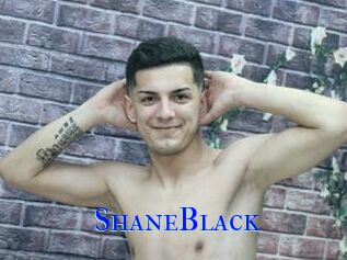ShaneBlack