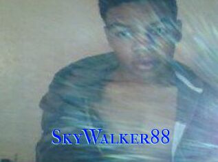 SkyWalker88