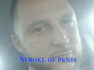 Stroke_of_penis