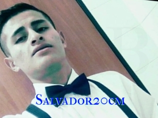 Salvador20cm