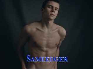 Samledger