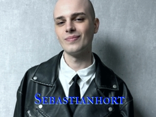 sebastianhort Hardcore Boy sex