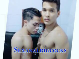 Sexanalbigcocks