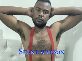 Shane_wadson