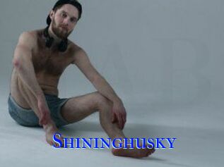 Shininghusky
