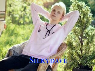 Silkydave