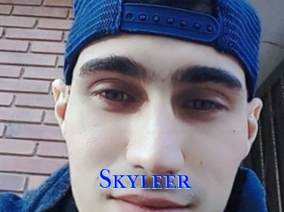 Skyleer