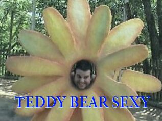 TEDDY_BEAR_SEXY