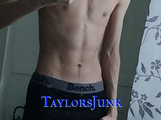 TaylorsJunk