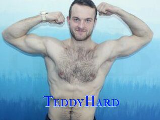 TeddyHard