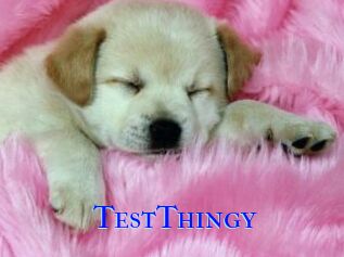 TestThingy