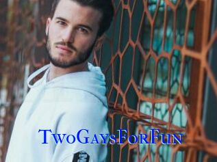 TwoGaysForFun