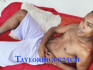 Taylorbigck25cm