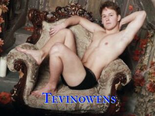 Tevinowens