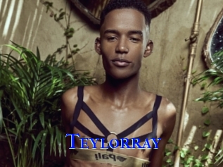 Teylorray