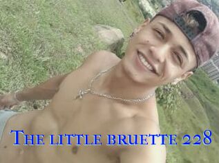 The_little_bruette_228