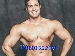Thebig22cm