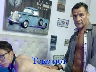 Toro_hot