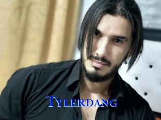tylerdang Hardcore Boy sex