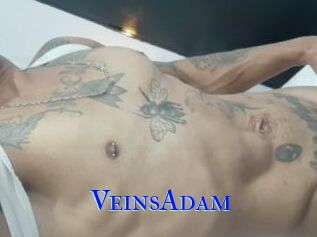 VeinsAdam