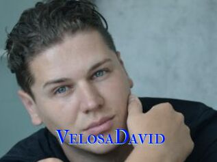 VelosaDavid