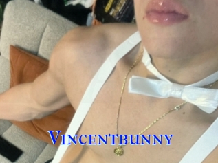 Vincentbunny
