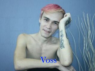 Voss