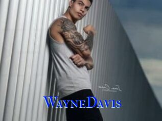 WayneDavis