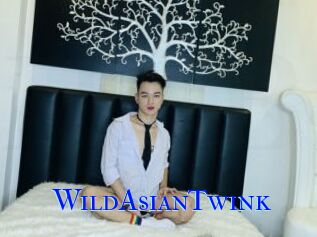 WildAsianTwink