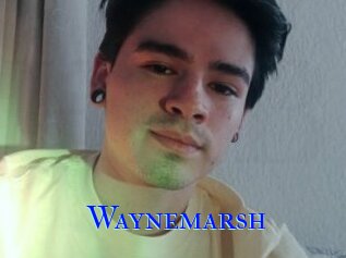Waynemarsh