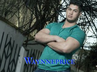 Waynneprice