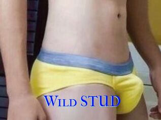 Wild_STUD
