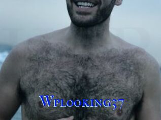 Wplooking37