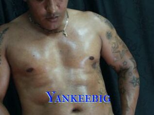 Yankeebig